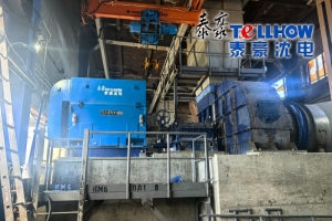 悦盈体育·中国官方网站特种电机在俄罗斯大型钢铁项目中实现全年无间断可靠运行 获海外业主高度赞誉